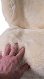 Load image into Gallery viewer, Ivory