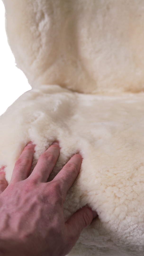 Ivory